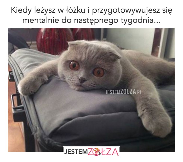 przygotowania