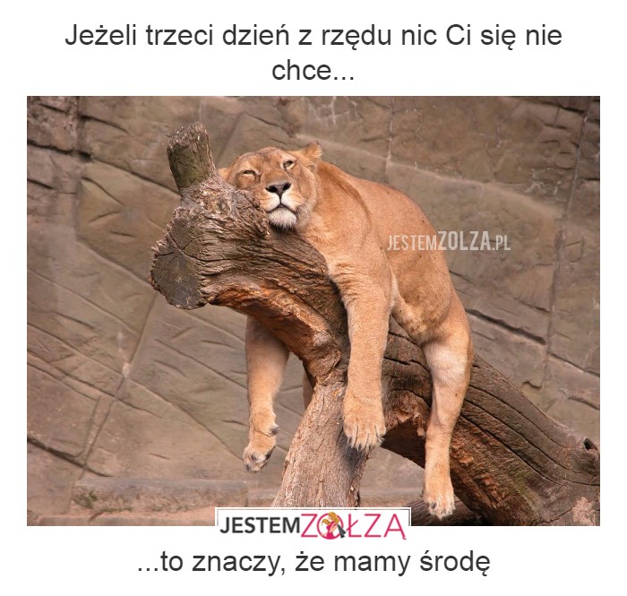 środa