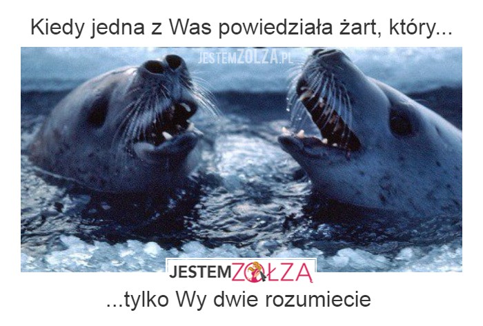 PRZYJACIÓŁKI