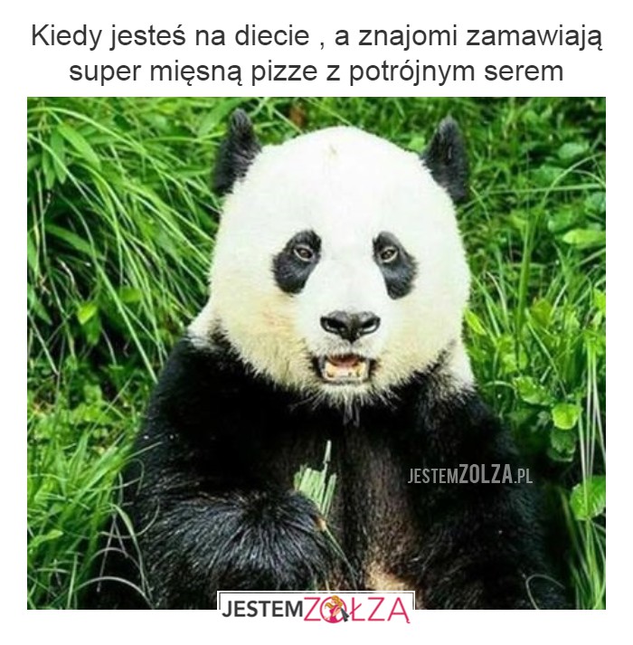 TO UCZUCIE