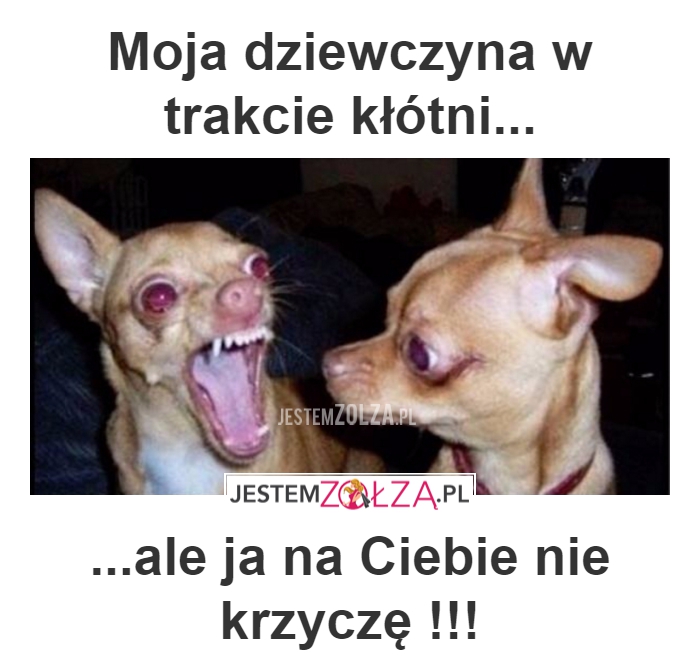 kłótnia