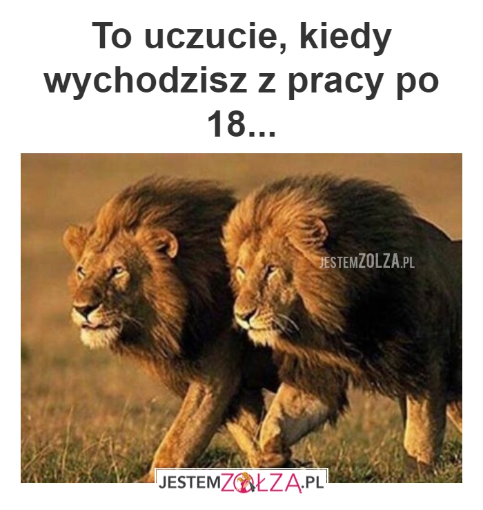NARESZCIE 