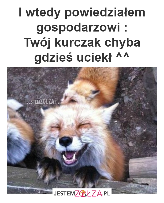 HEHE