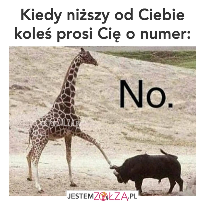 niższy koleś