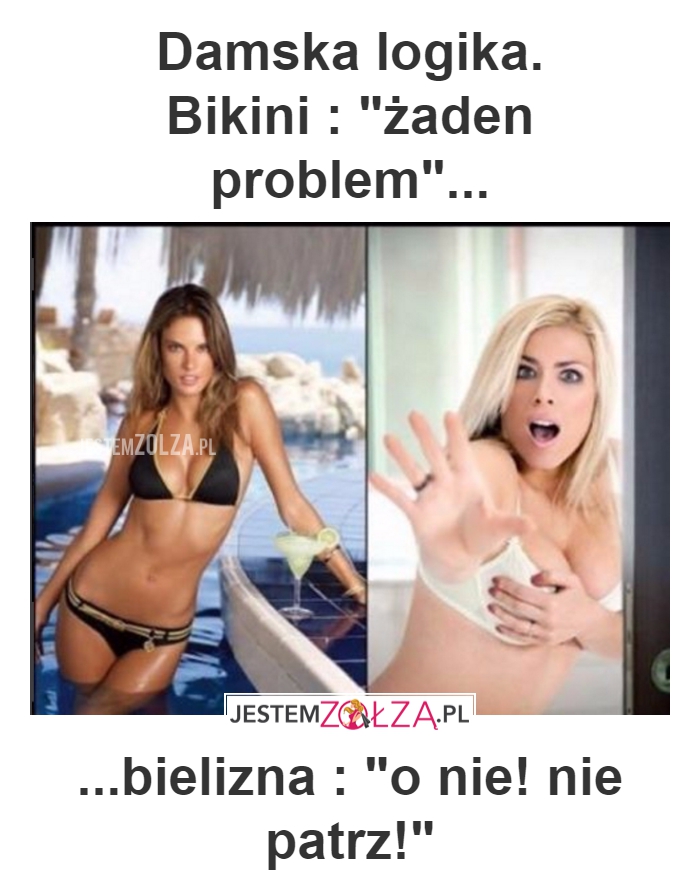 damska logika