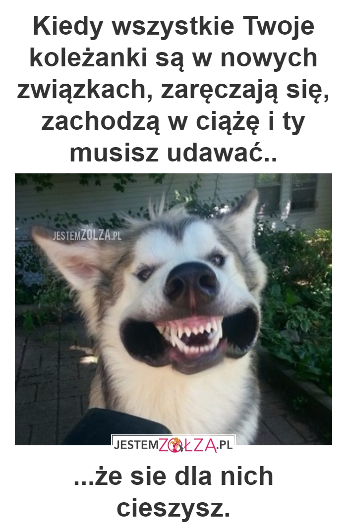 KOLEŻANKI 