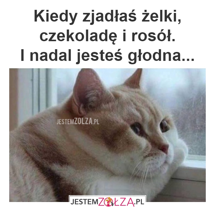 GŁÓD