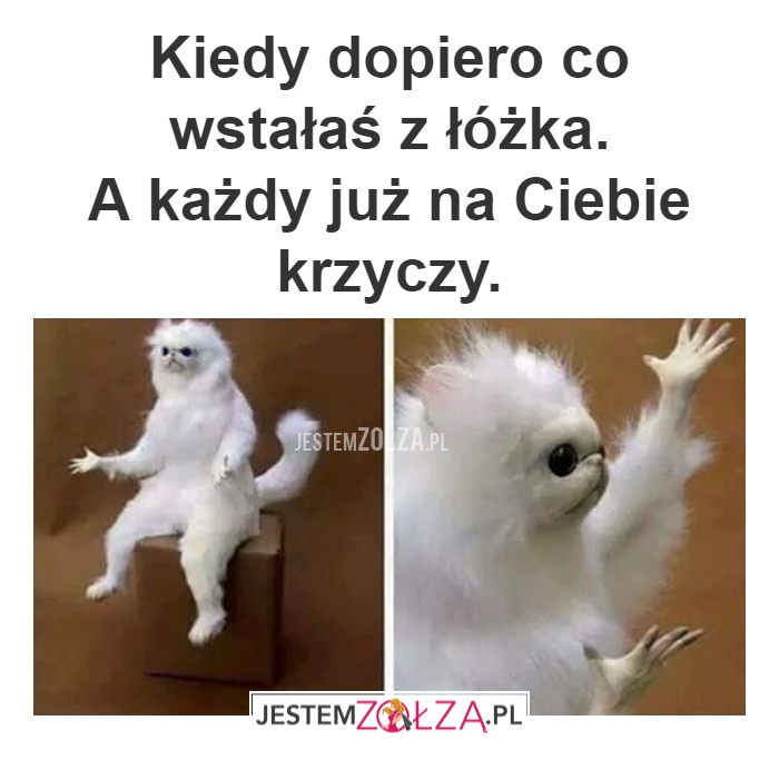 PORANEK