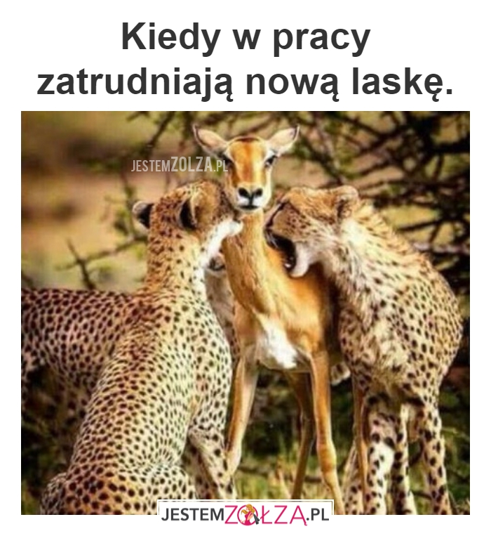 W PRACY
