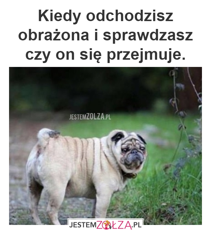 KIEDY ODCHODZISZ OBRAŻONA