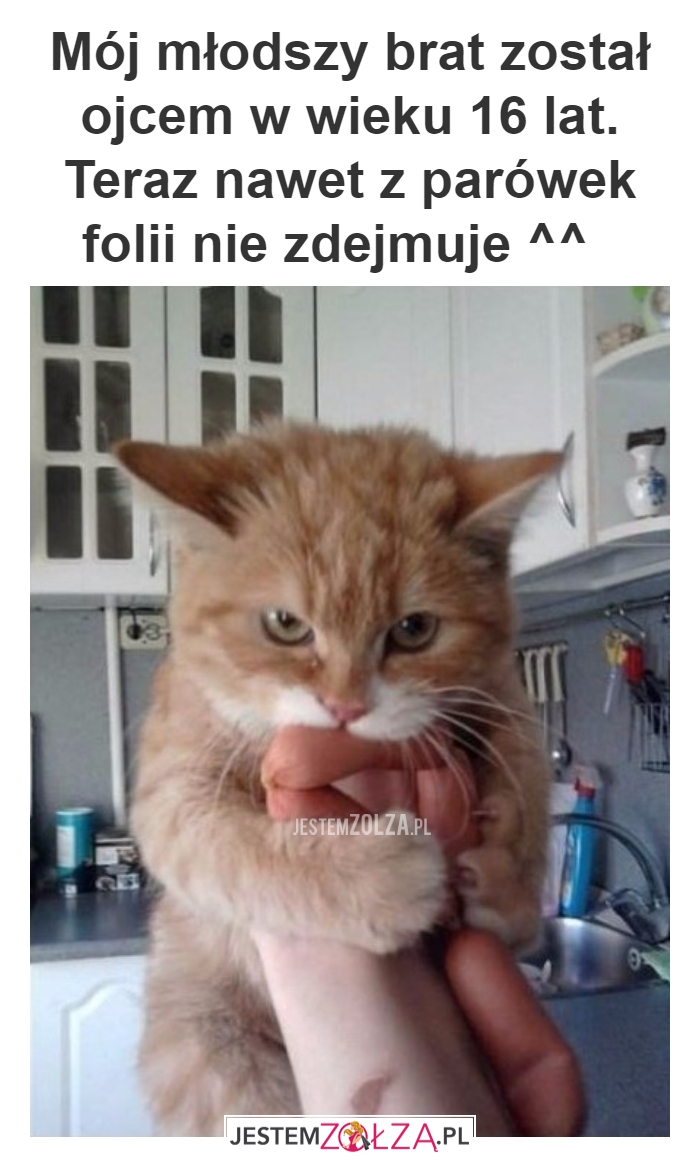 PRZYPAŁ