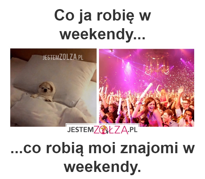 ja i znajomi