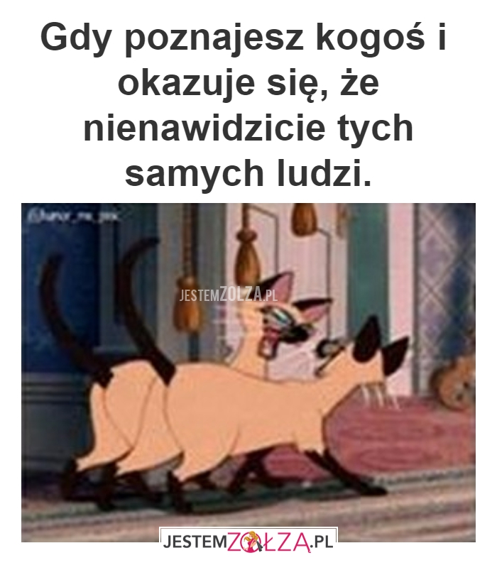 BRATNIE DUSZE