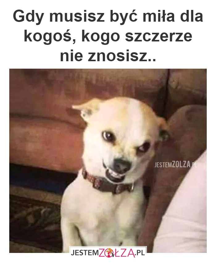 NA ZMUSZENIE