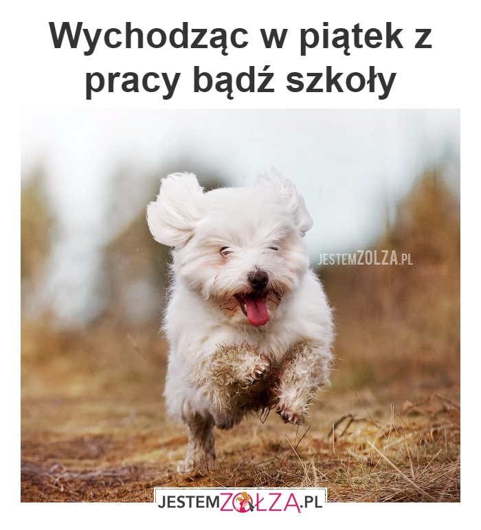 PIĄTEK