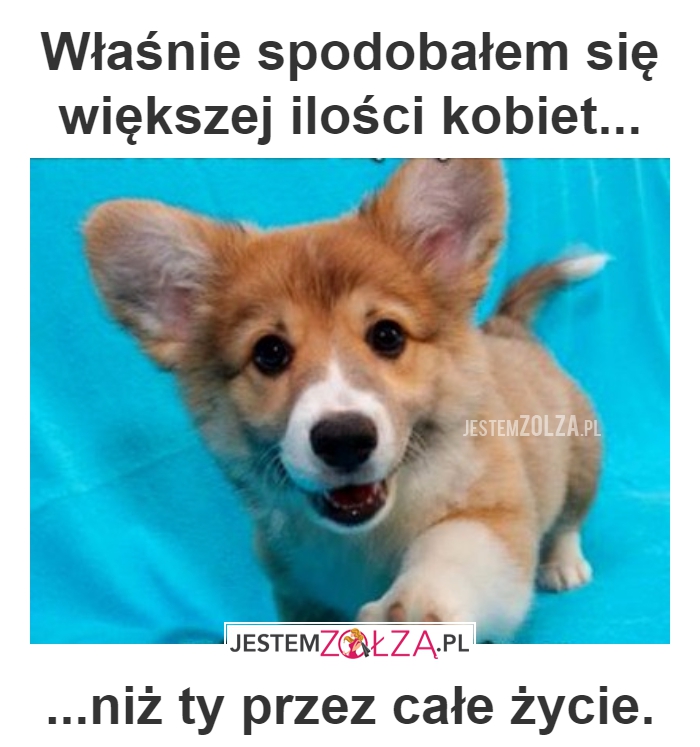 TAK JEST
