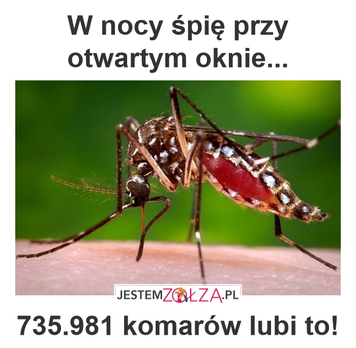 Komary
