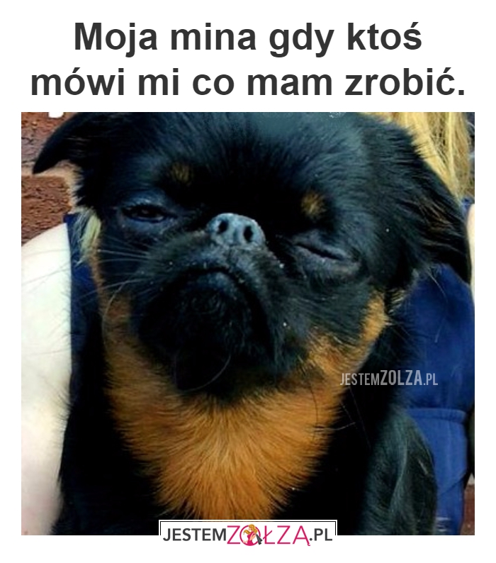 MOJA MINA