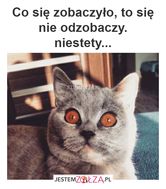 PESZEK
