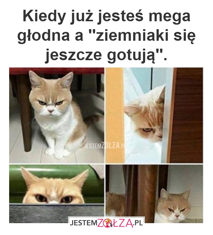 MEGA GŁÓD