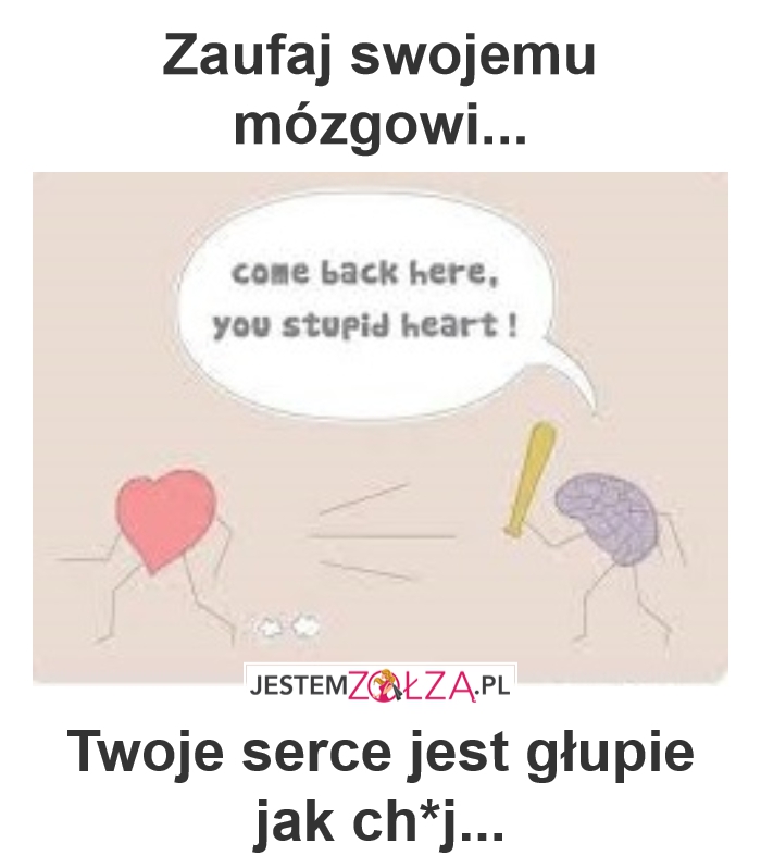 Serce czy mózg?