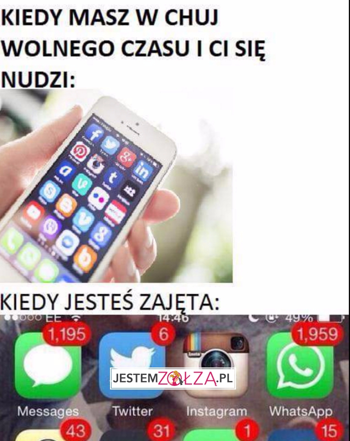 wolna/zajęta