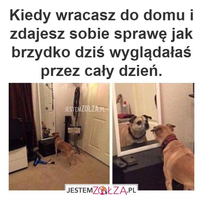POWRÓT DO DOMU