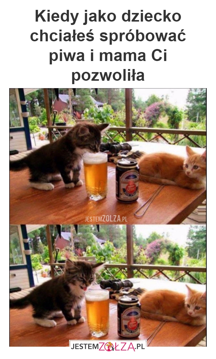 piwo