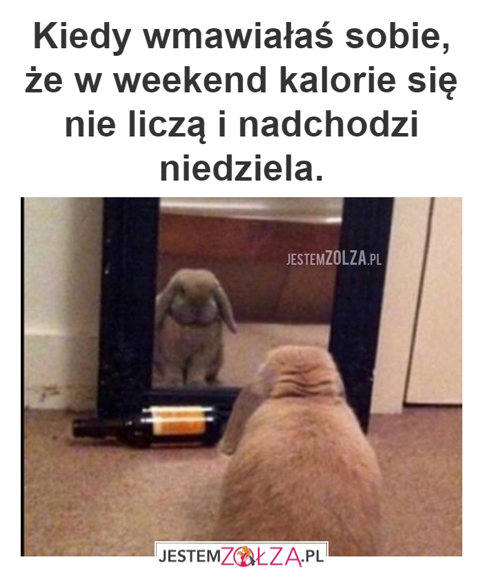 TO UCZUCIE