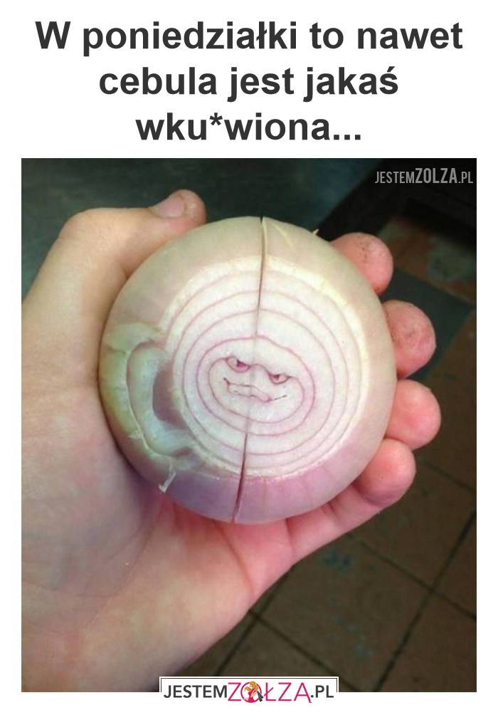 Cebula