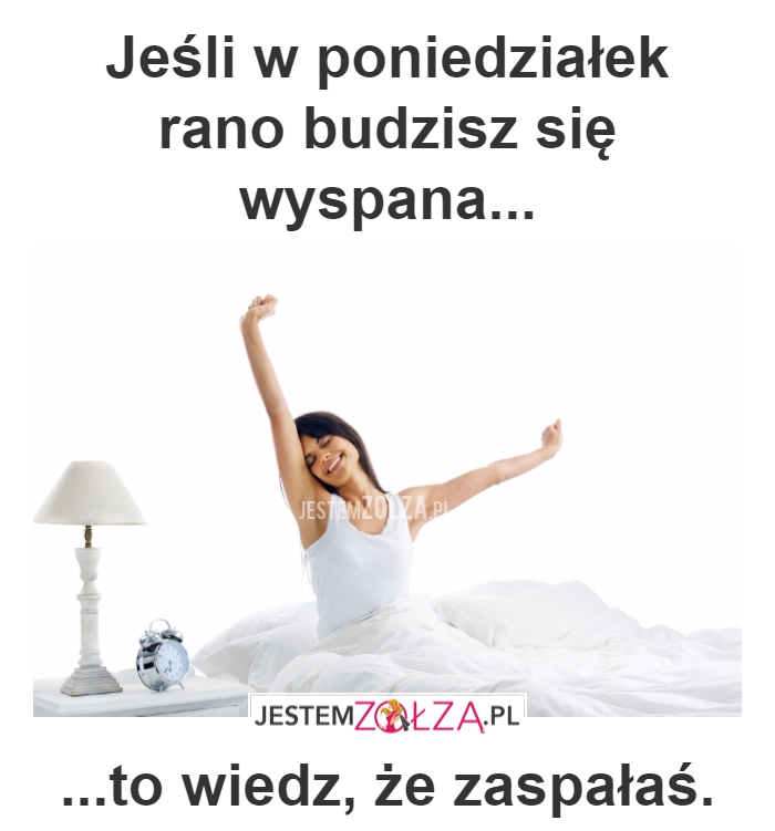 poniedziałek rano