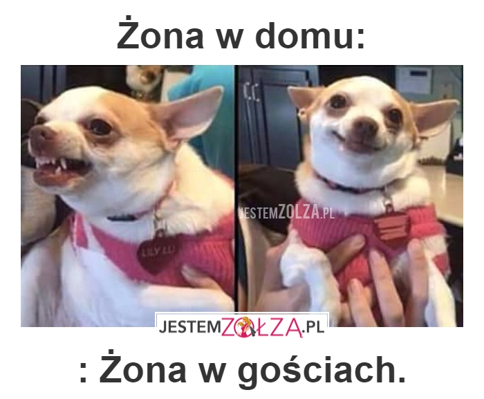 ŻONA
