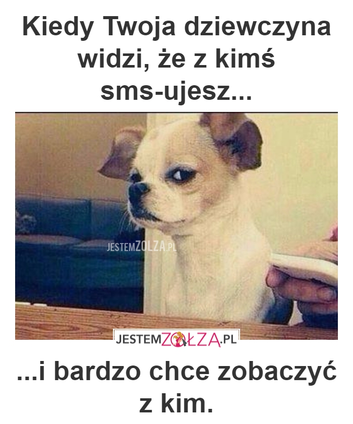 CIEKAWOŚĆ