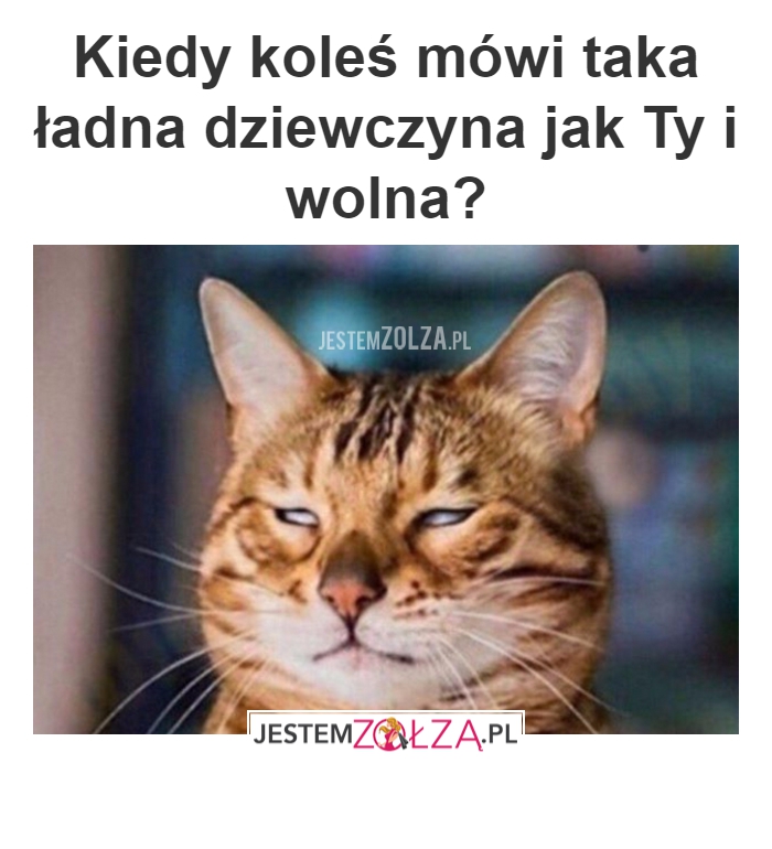 ładna dziewczyna