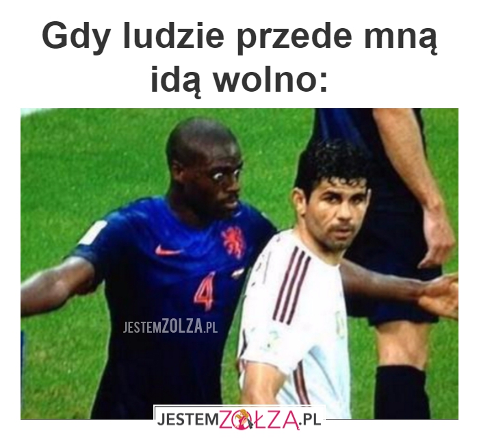 wolno idą