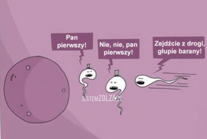 PRAWDZIWYCH DŻENTELMENÓW JUŻ NIE MA
