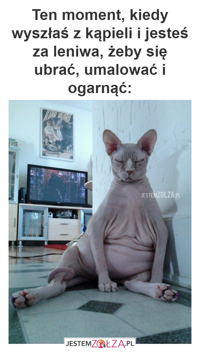 Leniwa...