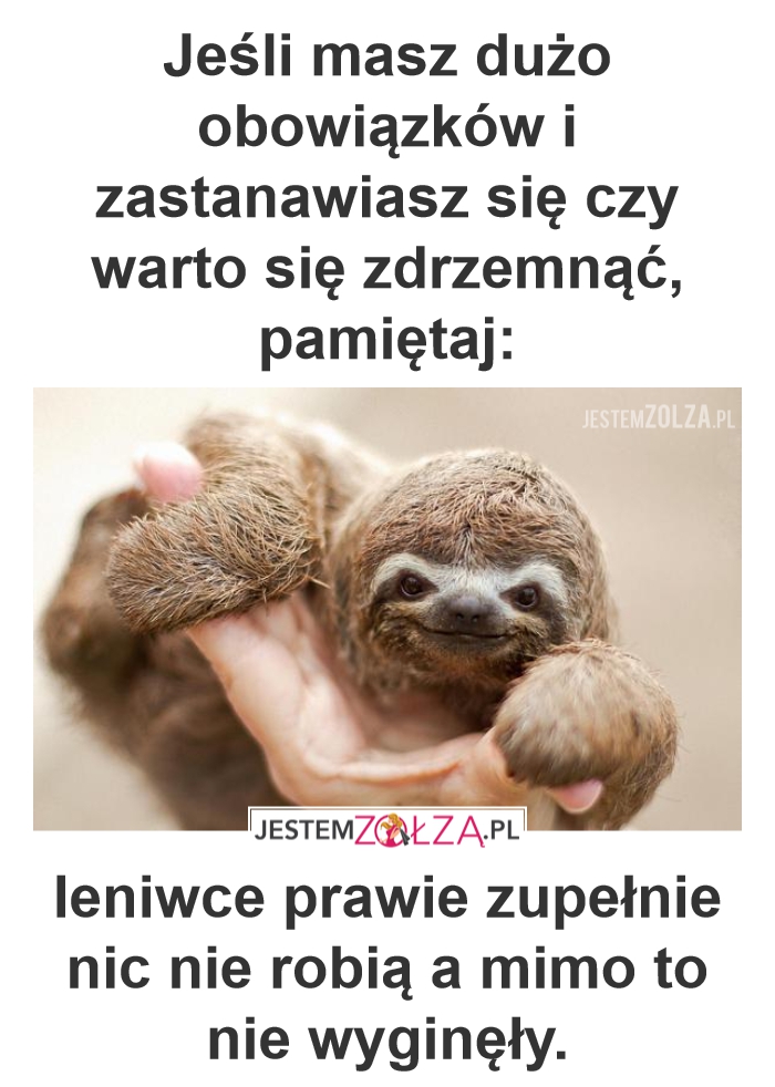 Leniwiec