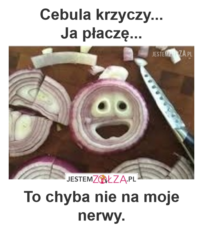 Cebula