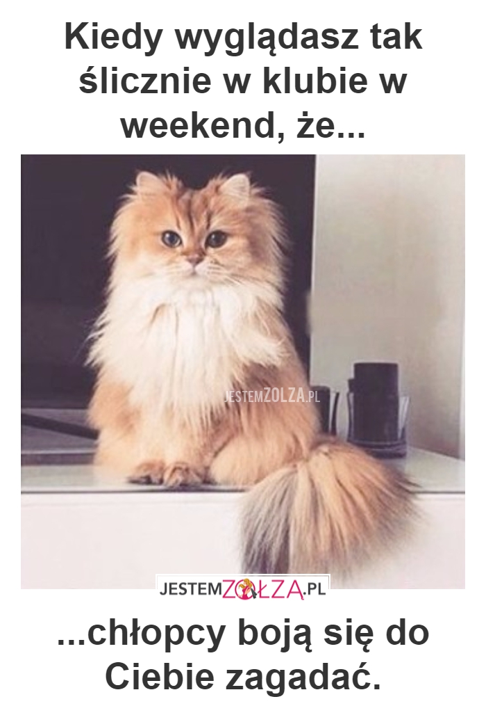 WYGLĄDASZ  ŚLICZNIE