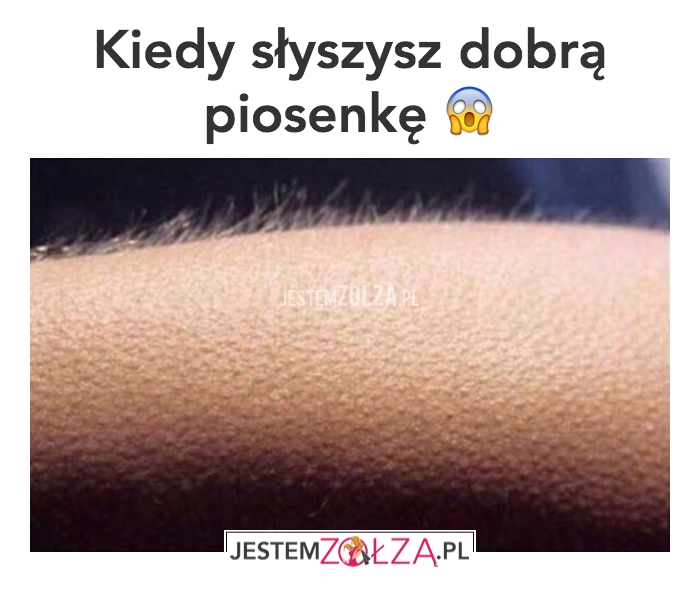 piosenka