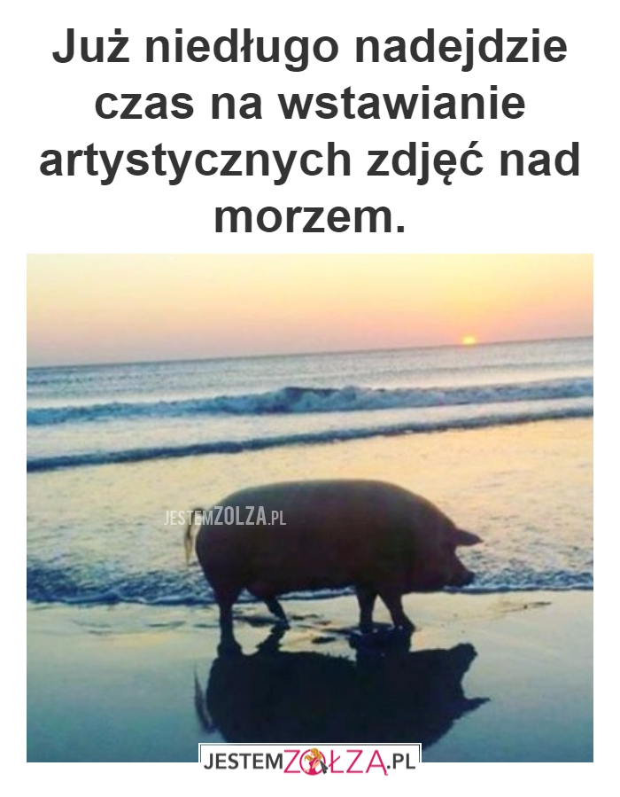 JUŻ NIEDŁUGO