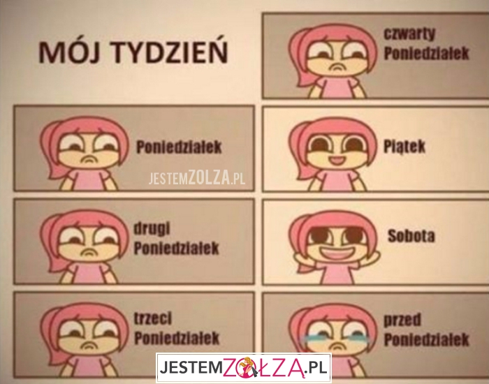 mój tydzień