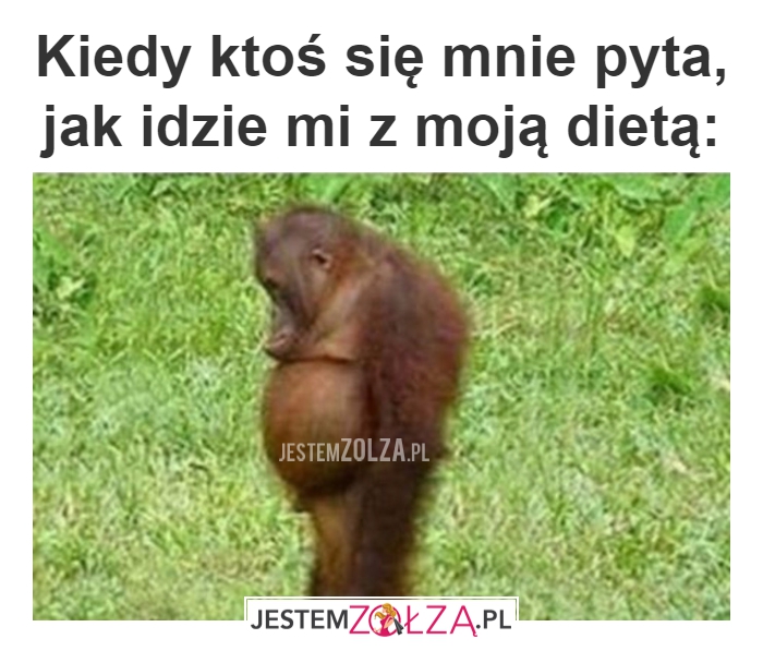 dieta