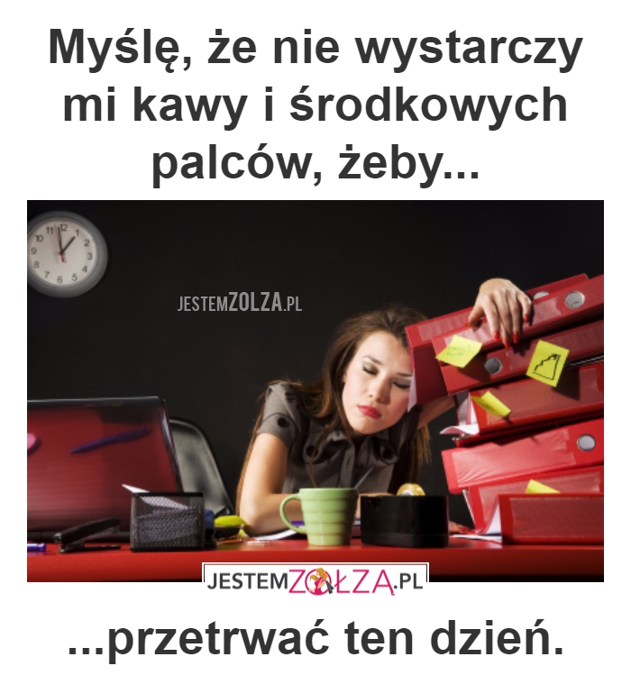 przetrwać dzień