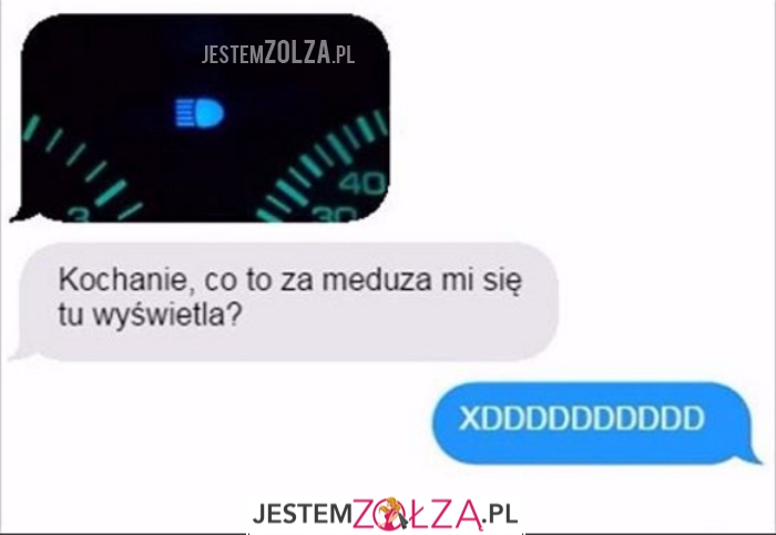 meduza