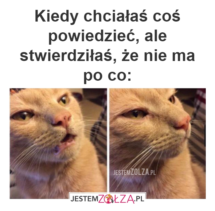 coś powiedzieć