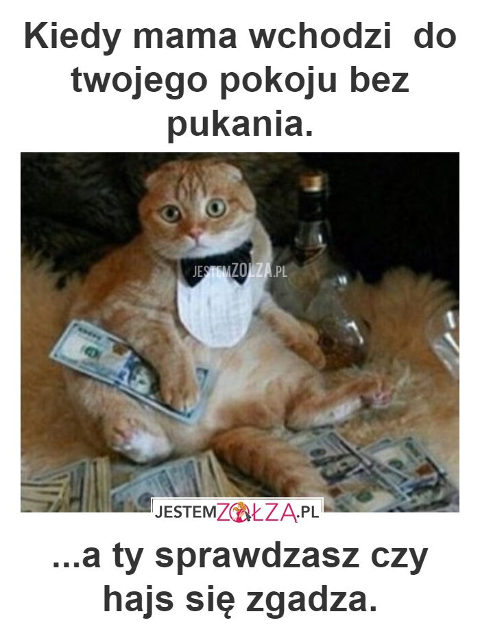 PRZYPAŁ