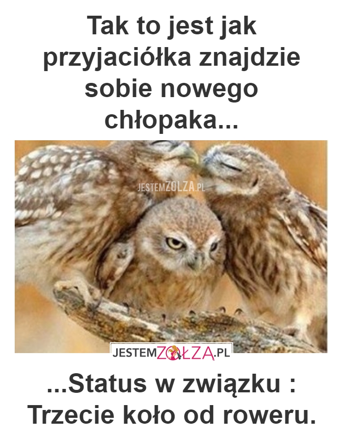 STATUS W ZWIĄZKU^^
