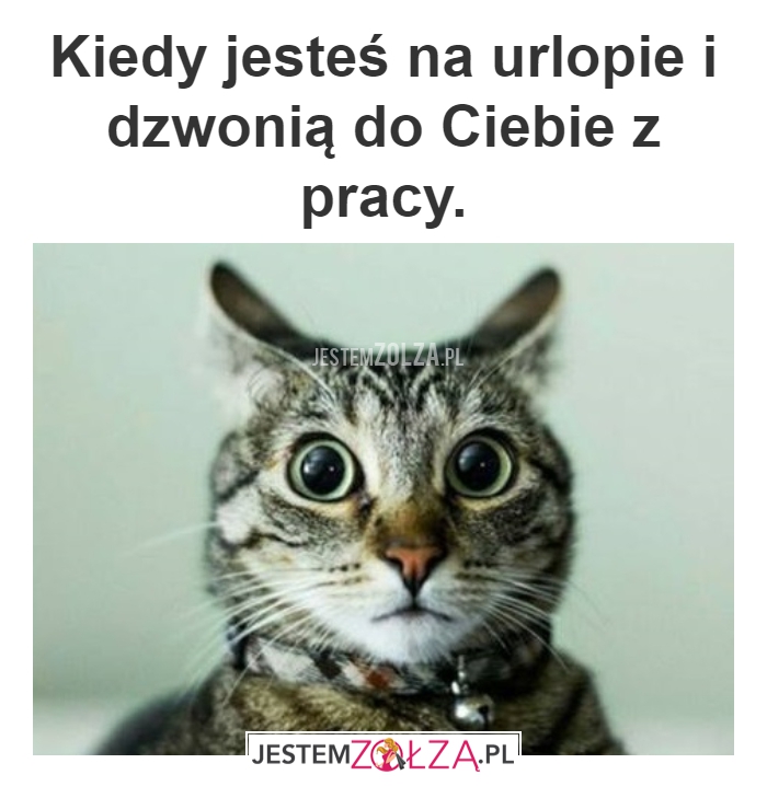 NA URLOPIE